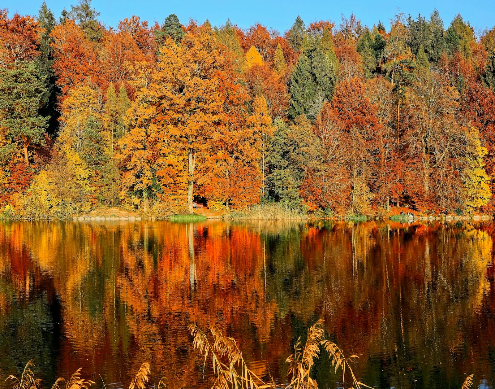 New England fall foliage reflected in a lake